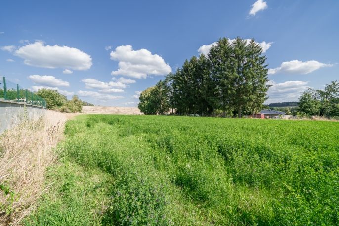 Prodej, Ostatní, Plesná