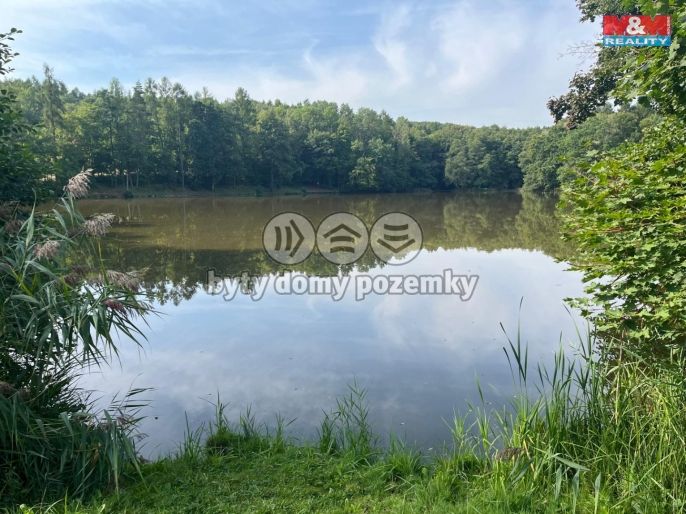 Prodej, Chata, Bílichov