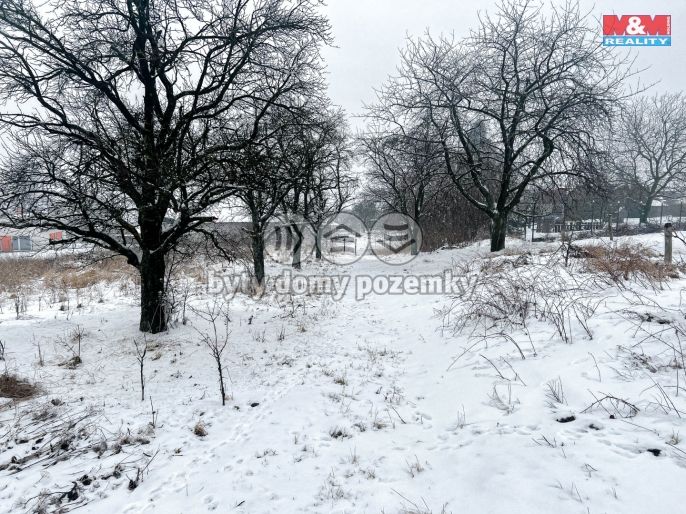 Prodej, Rodinný dům, Vítkov