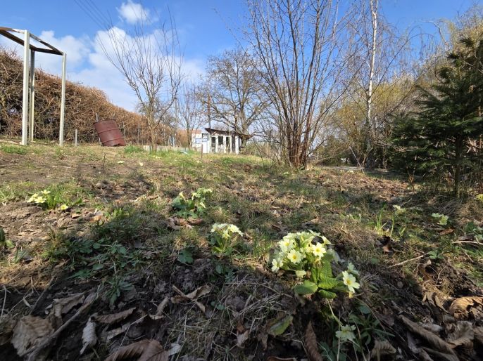 Prodej, Rodinný dům, Český Brod