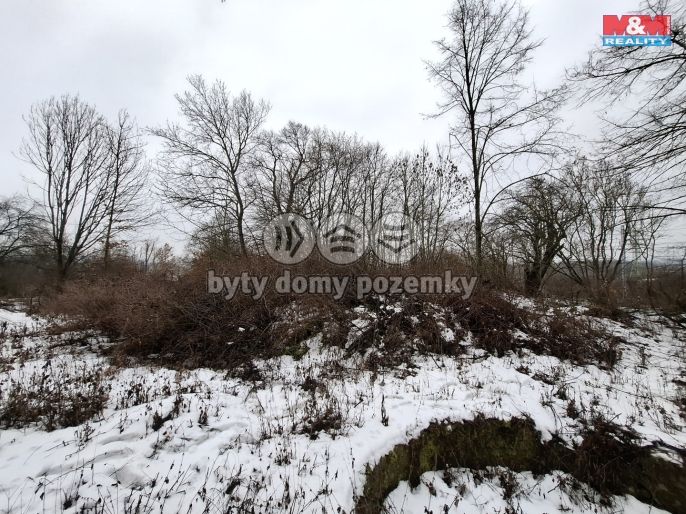 Prodej, Zahrada, Teplice