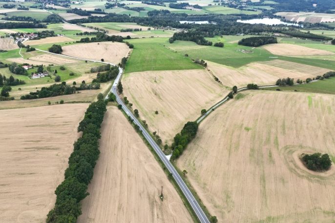 Prodej, Pole, Vyskytná