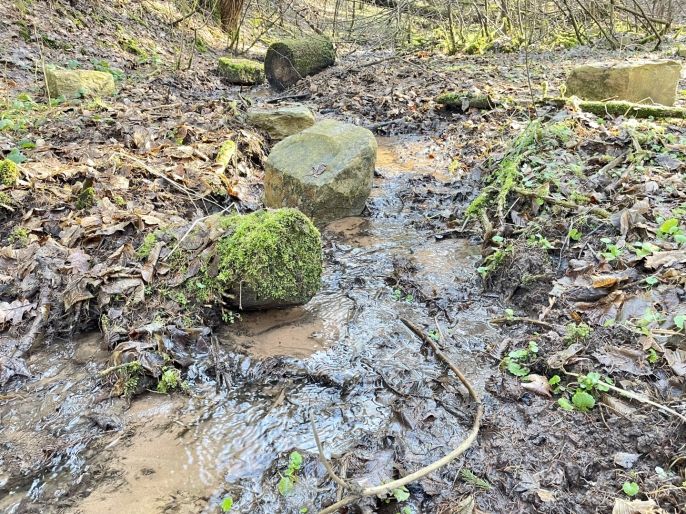 Prodej, Les, Dolní Dobrouč