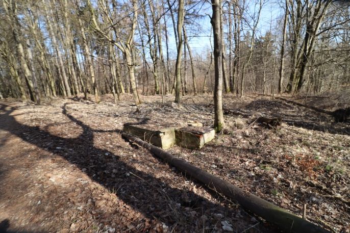 Prodej, Rodinný dům, Žalany