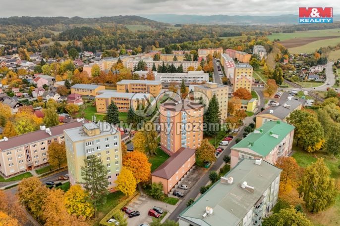 Prodej, Nájemní dům, Nová Role