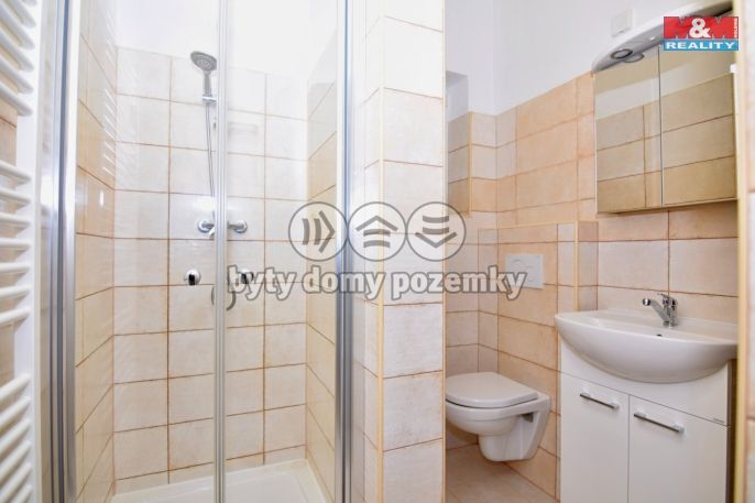 Pronájem, Byt 1+1, Děčín