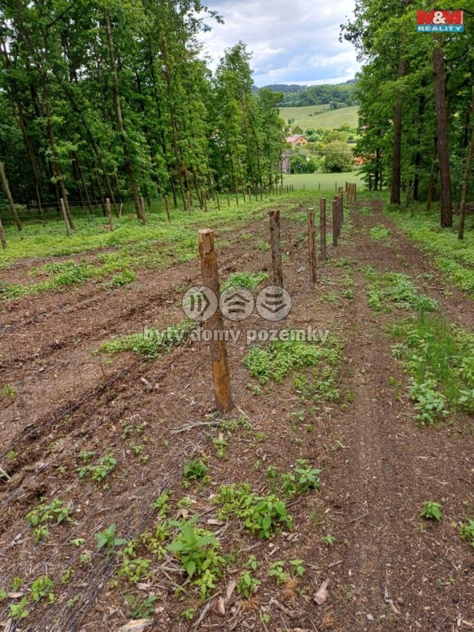 Prodej, Les, Hrazany