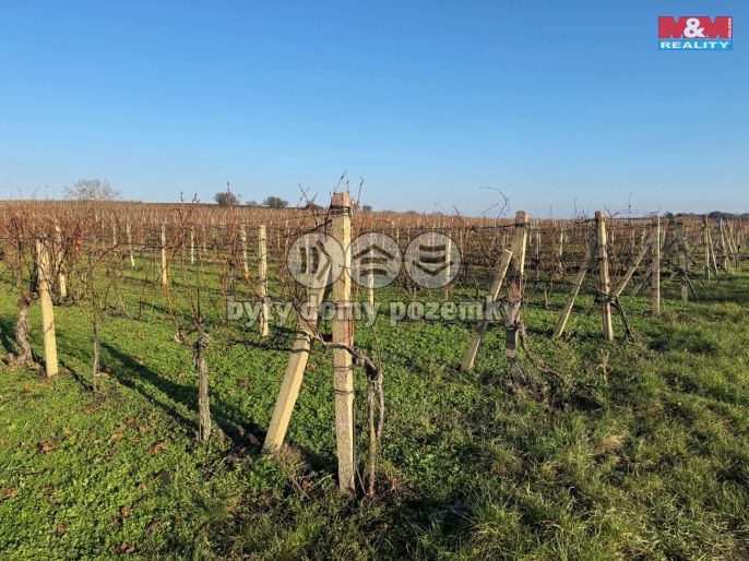 Prodej, Vinice, Velké Bílovice