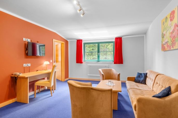 Prodej, Hotel, penzion, Geising
