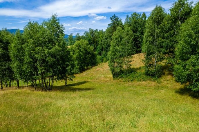 Prodej, Ostatní, Dlouhý Most