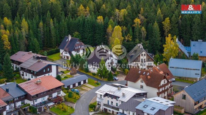 Prodej, Hotel, penzion, Harrachov