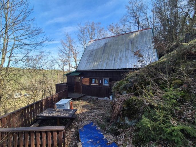 Prodej, Chata, Plešnice