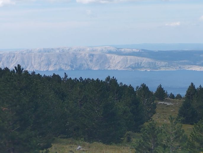 Prodej, Rodinný dům, Přelouč