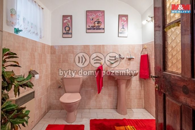 Prodej, Hotel, penzion, Švihov