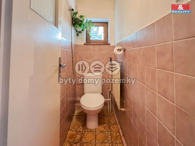 Prodej, Rodinný dům, Mladý Smolivec