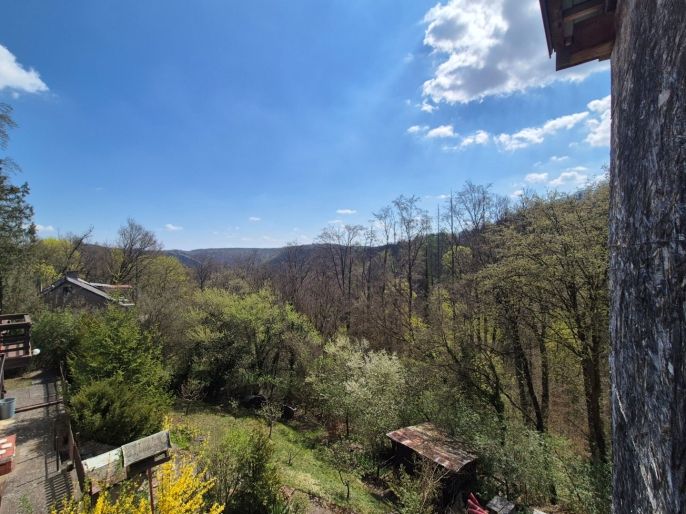 Prodej, Chata, Svatý Jan pod Skalou