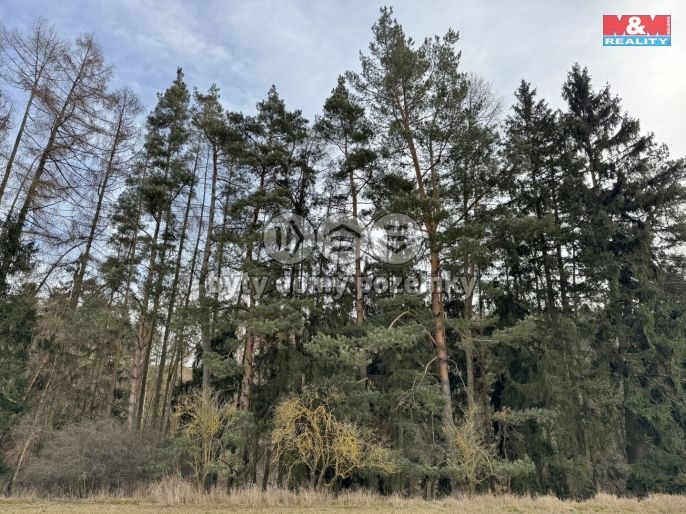 Prodej, Chalupa, Trhový Štěpánov