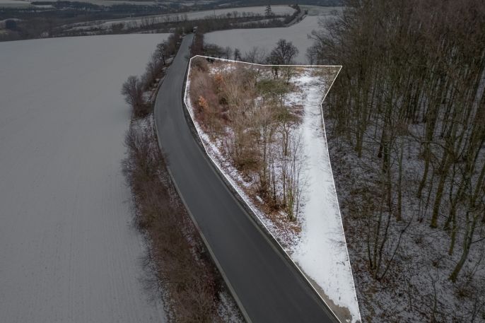 Prodej, Zahrada, Pchery