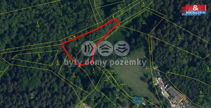 Prodej, Les, Mírová pod Kozákovem