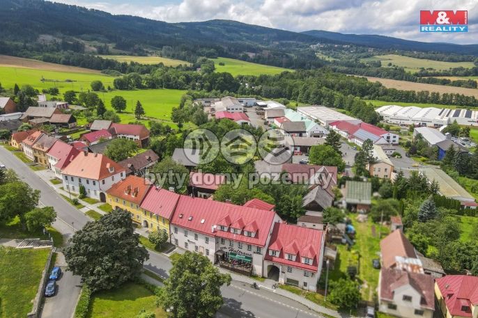 Prodej, Hotel, penzion, Klenčí pod Čerchovem