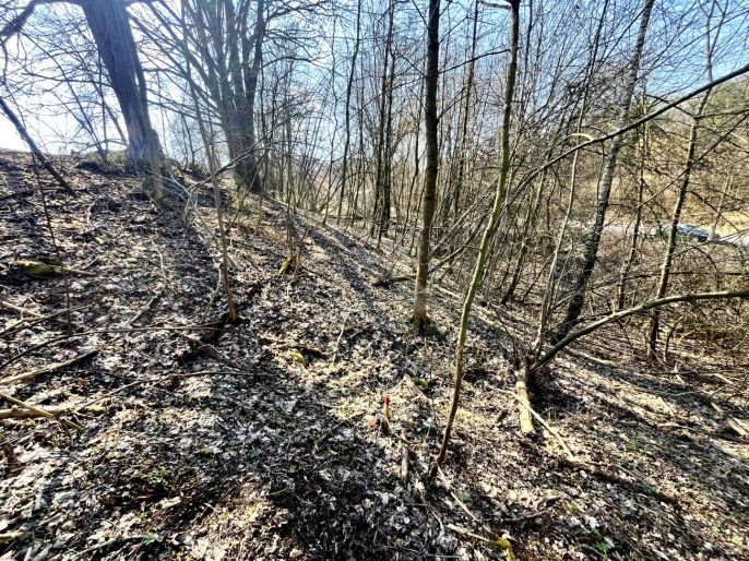 Prodej, Pozemek k bydlení, Heřmanov