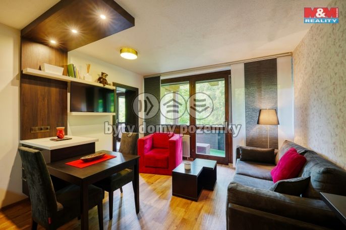 Prodej, Byt 2+kk, Železná Ruda