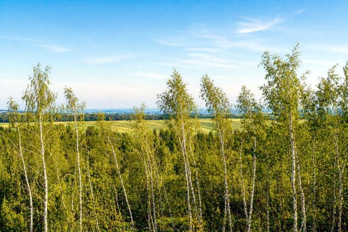 Prodej, Byt 1+kk, Doubravčice