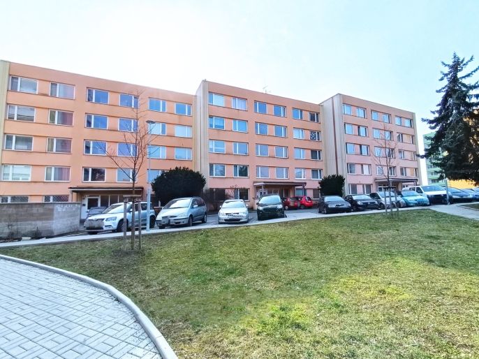 Pronájem, Byt 1+kk, Slaný