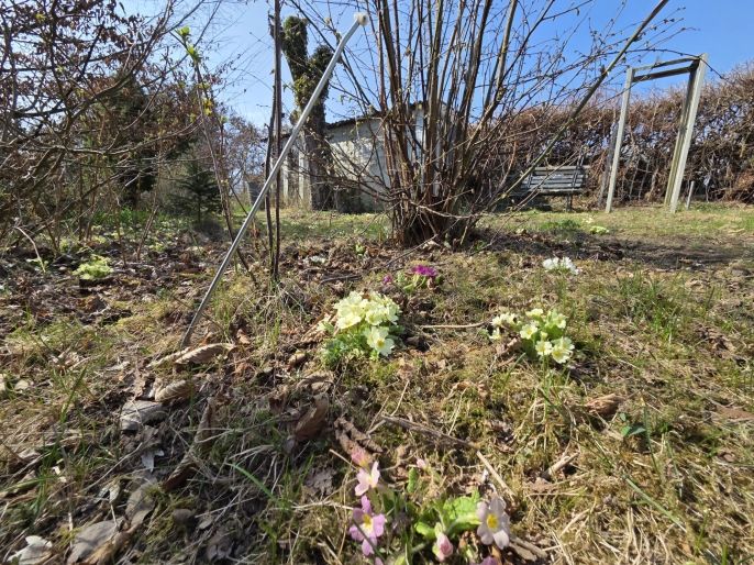 Prodej, Rodinný dům, Český Brod