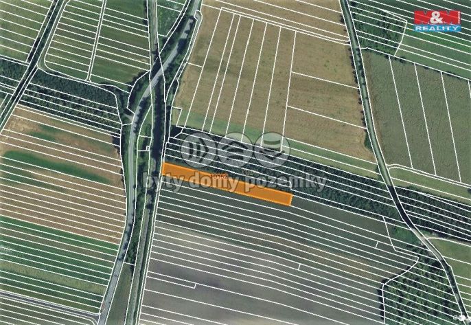 Prodej, Pole, Javorník