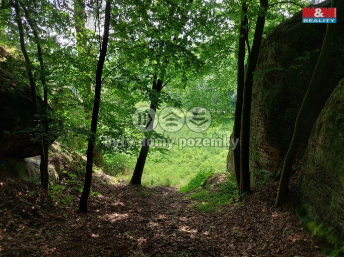 Prodej, Louka, Vysoká