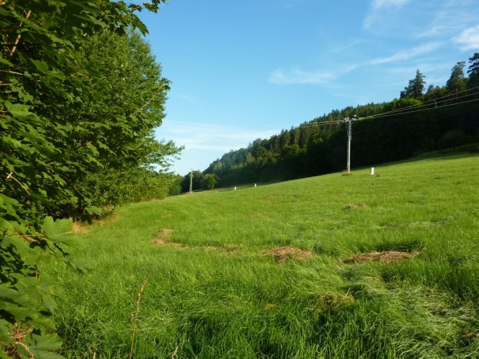 Prodej, Pozemek k bydlení, Trutnov