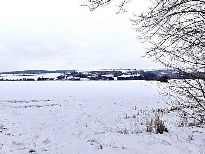 Prodej, Byt 4+1, Pacov