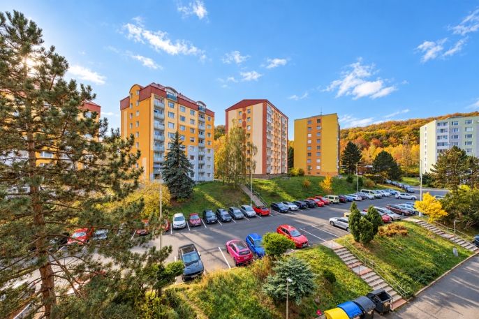 Prodej, Byt 2+1, Jirkov