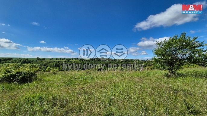 Prodej, Pozemek k bydlení, Hrušovany