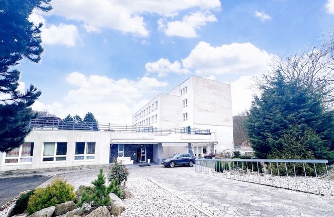 Pronájem, Byt 1+kk, Meziboří