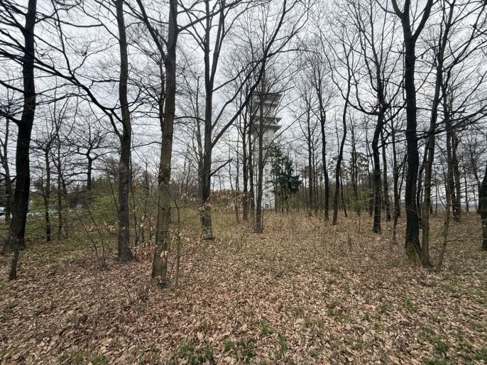 Prodej, Les, Býšť