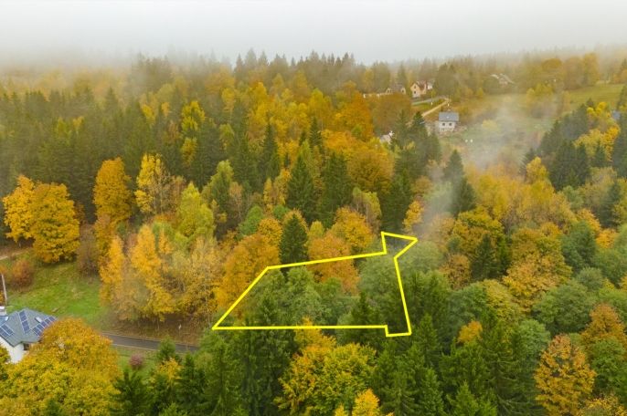 Prodej, Ostatní, Nová Ves nad Nisou