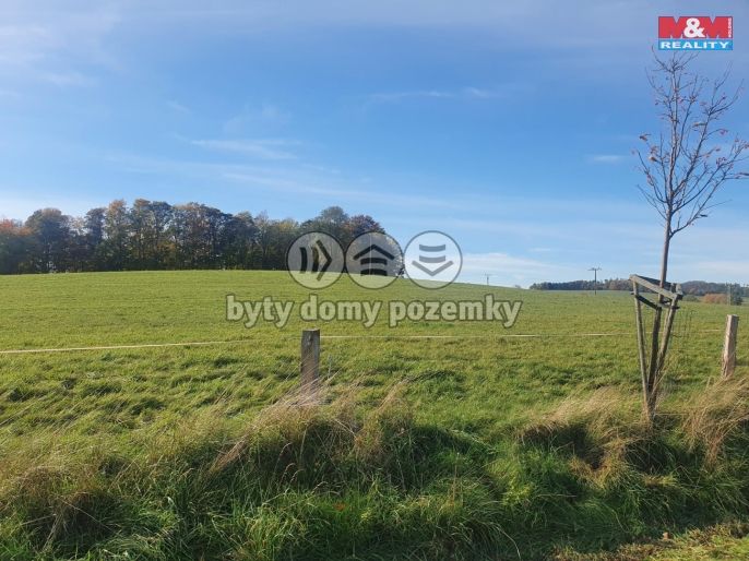 Prodej, Louka, Šluknov