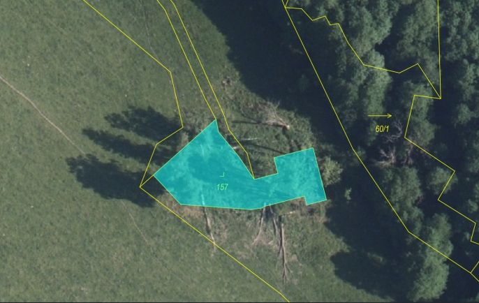 Prodej, Louka, Cvikov