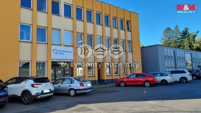 Pronájem, Obchod a služby, Český Těšín