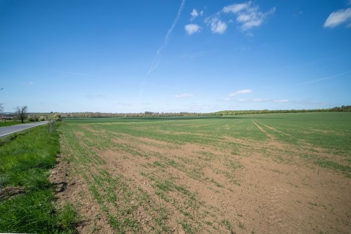 Prodej, Pole, Dobříč