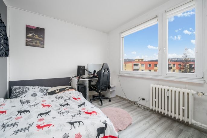 Prodej, Byt 4+1, Ústí nad Labem