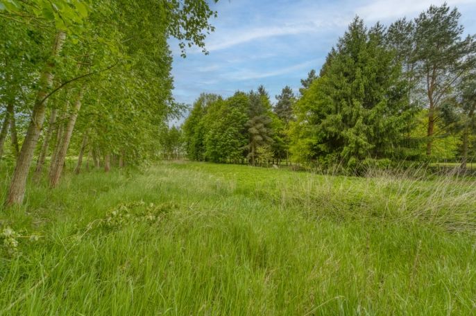 Prodej, Rodinný dům, Dobřany