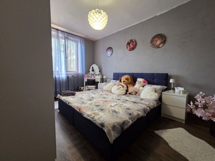 Prodej, Nájemní dům, Svojšice