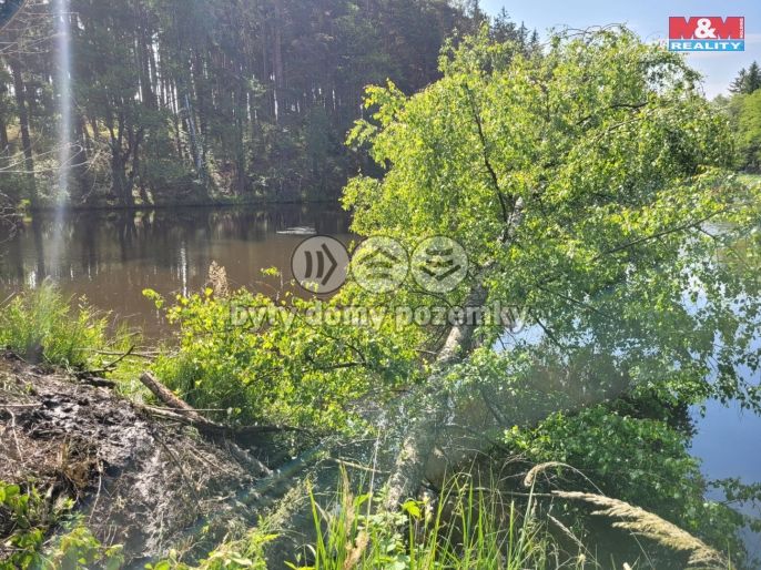 Prodej, Vodní plocha, Toužim