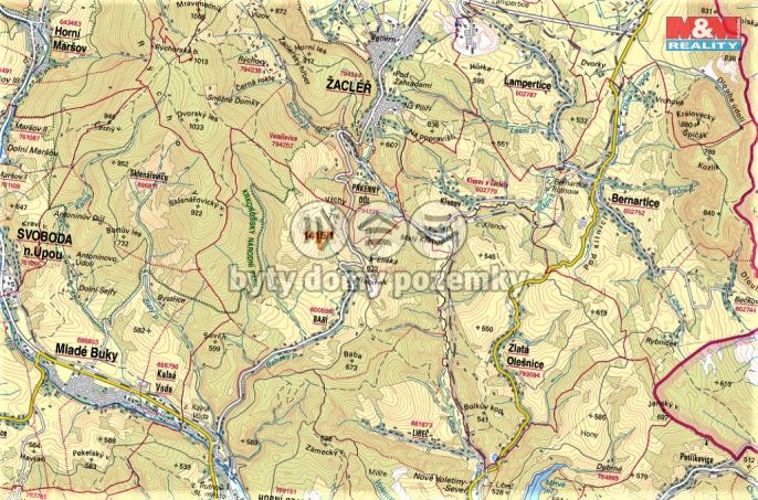 Prodej, Les, Trutnov