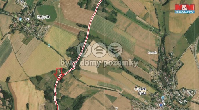 Prodej, Les, Česká Bělá