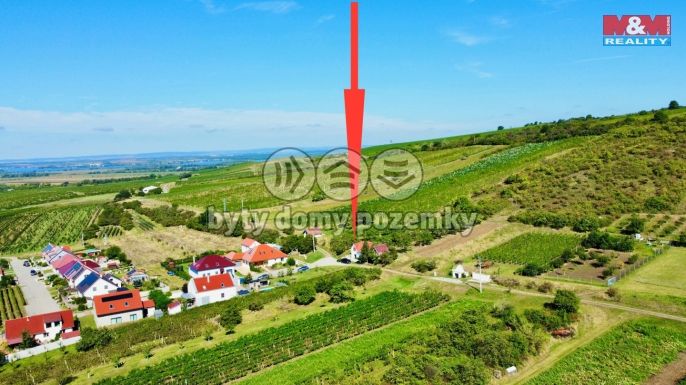 Prodej, Vinný sklep, Perná