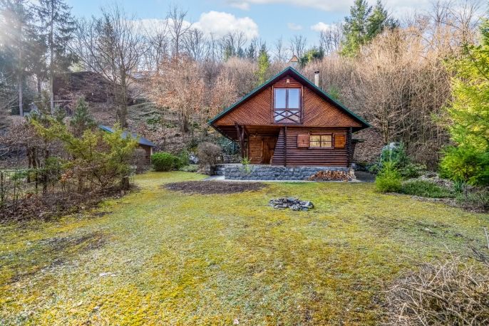 Prodej, Chata, Štěchovice